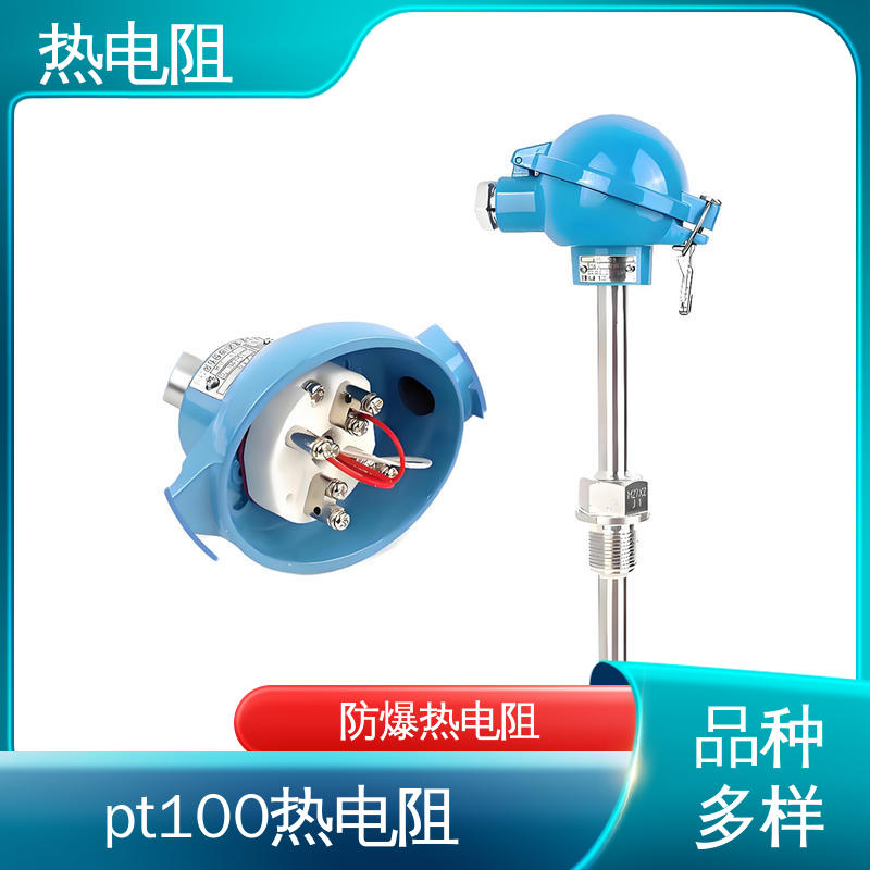 天康 WZC-130 双支热电阻 可靠性高 厂家供应 现货充足