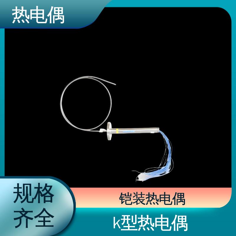 天康 WRNK2-391 耐磨阻漏热电偶 耐用性强 源头厂家 来图定制