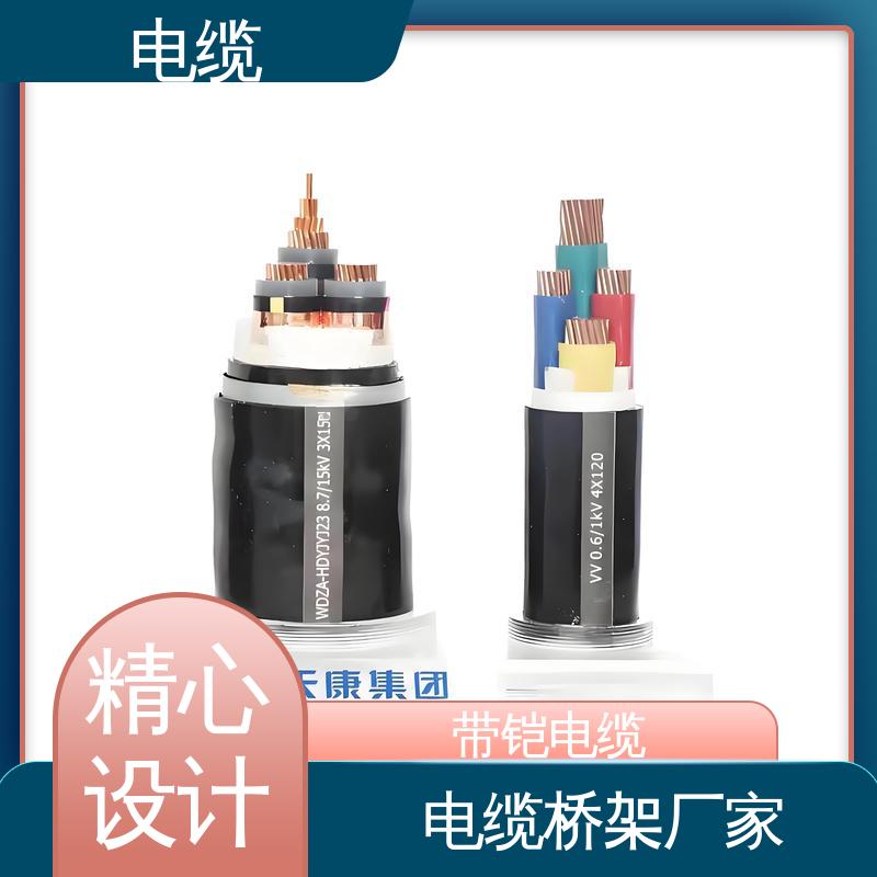 天康 YGC22 加热电缆 科学严谨的工艺 实力工厂 支持定制