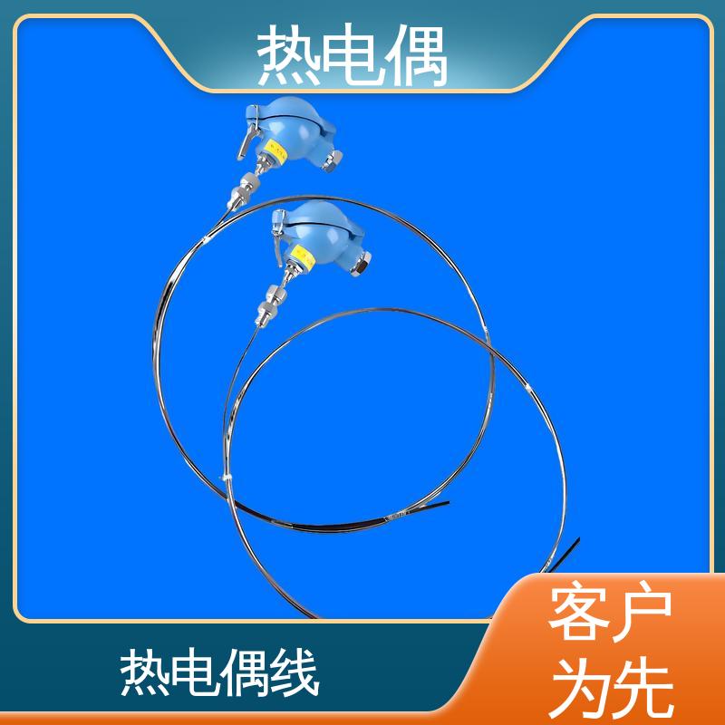 天康 WRNK2-391 快速热电偶 不受湿度影响 实力厂家 支持定制