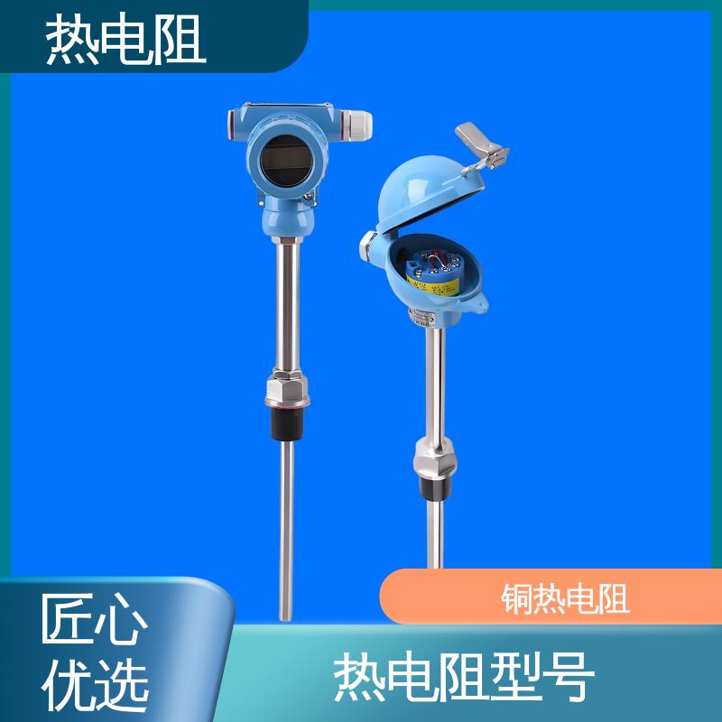 天康 WZP-130 双支热电阻 可靠性高 实力厂家 支持定制