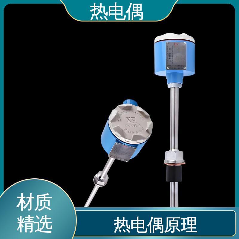 天康 WRNK2-391 陶瓷热电偶 适合极端环境 实力厂家 支持定制