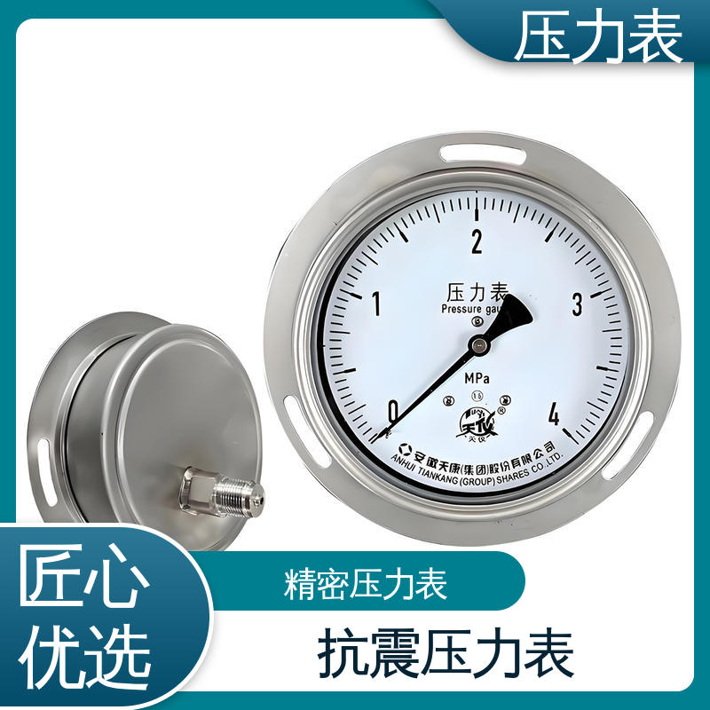天康 YPF 系列 精密数字压力表 测量范围广 实力厂家 支持定制