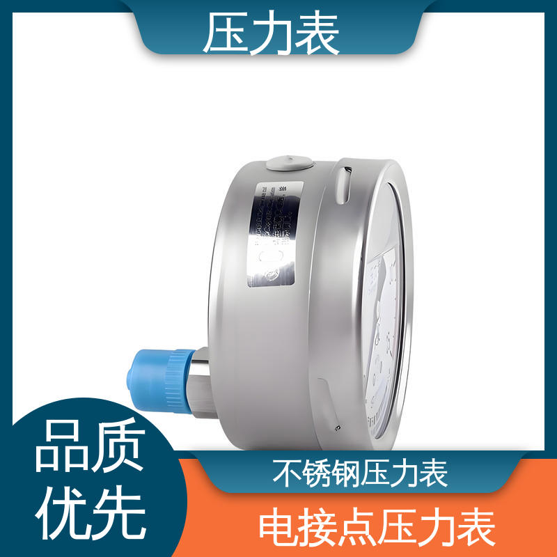 天康 Y-B 系列 特种压力表 环境适应性强 源头厂家 品类齐全