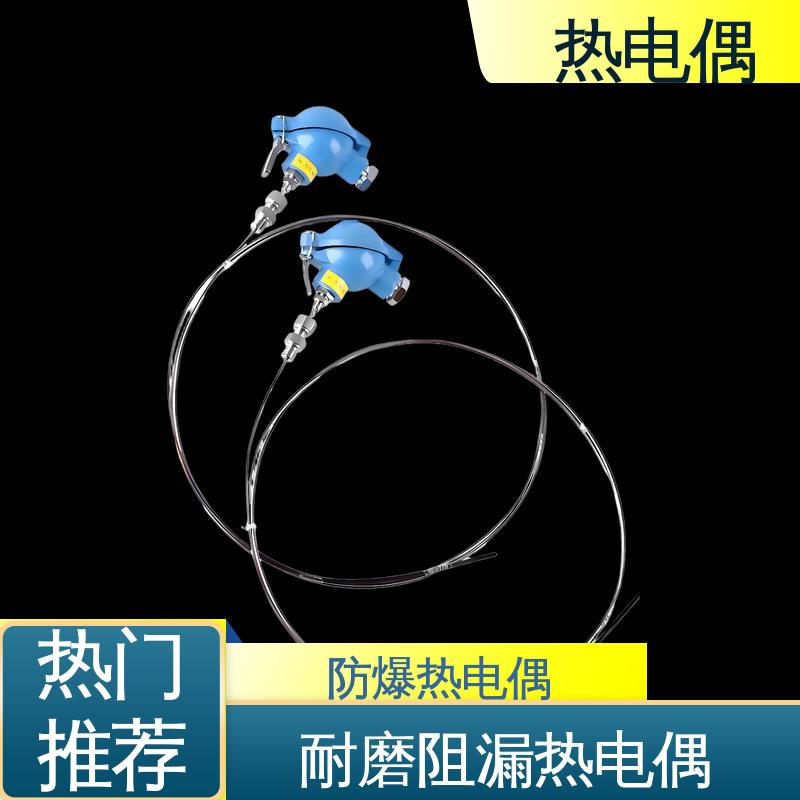 天康 WRNK2-391 钨铼热电偶 信号可远传 实力厂家 支持定制