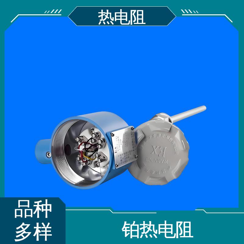 天康 WZC-130 防腐热电阻 可靠性高 实力厂家 支持定制