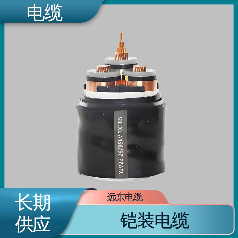 天康 YGCP 矿物质电缆 先进技术与工艺 实力工厂 支持定制