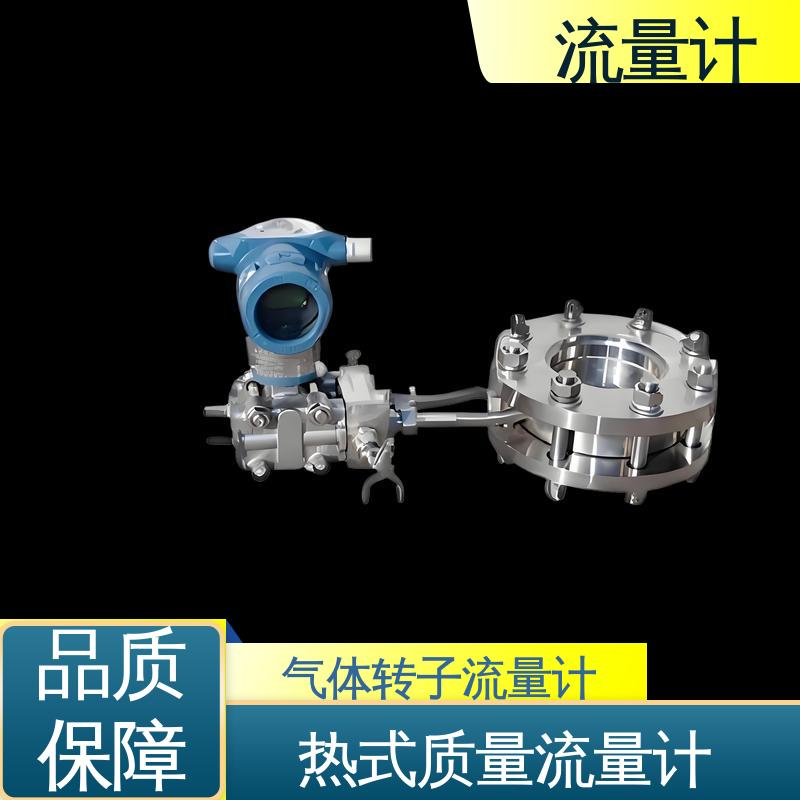天康 TK2100 浮子流量计 抗干扰能力强 源头厂家 来图定制