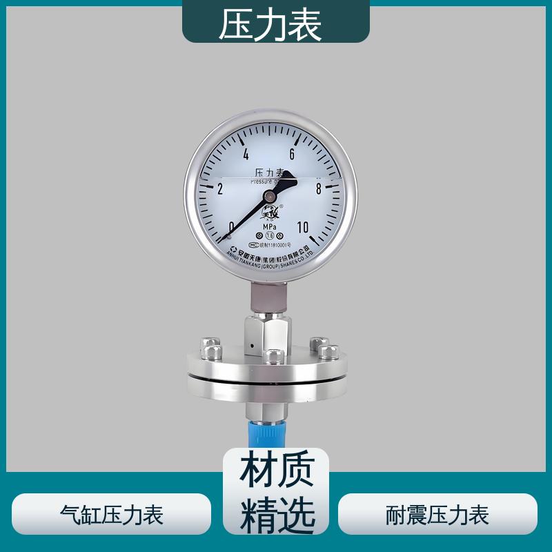 天康 LT系列 气缸压力表 环境适应性强 实力厂家 支持定制
