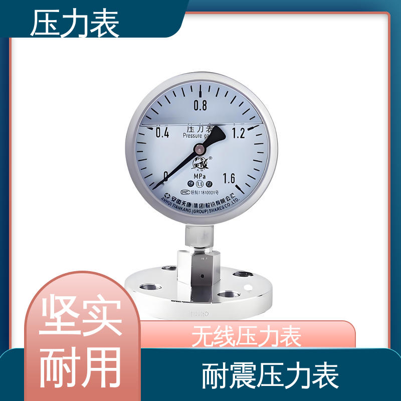 天康 YPF 系列 蒸汽压力表 精度适中 兼容性好 源头厂家 品类齐全