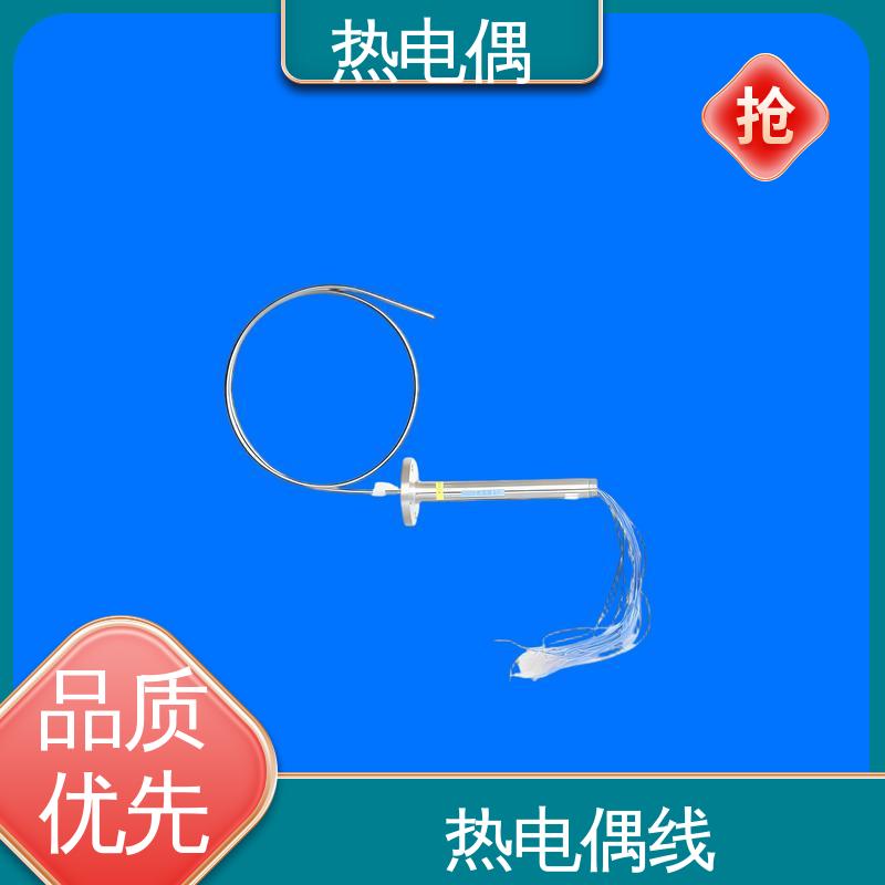 天康 WRNK2-391 高温热电偶 响应速度快 源头厂家 来图定制