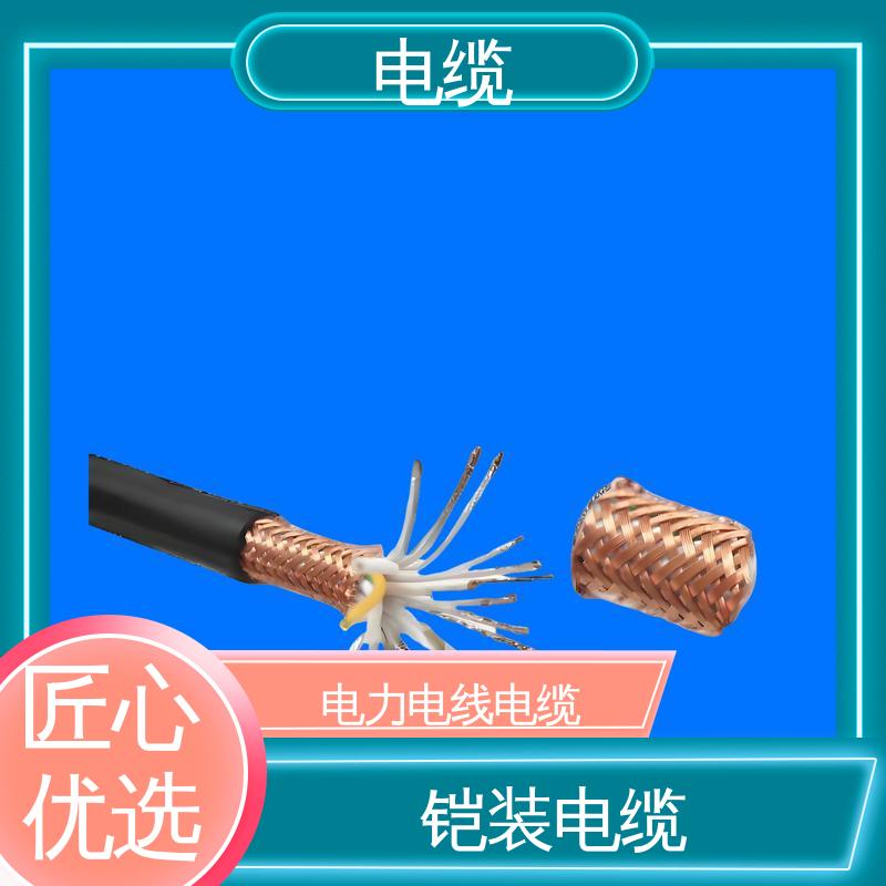 天康 YGC22 伴热电缆 满足不同场景需求 实力工厂 支持定制