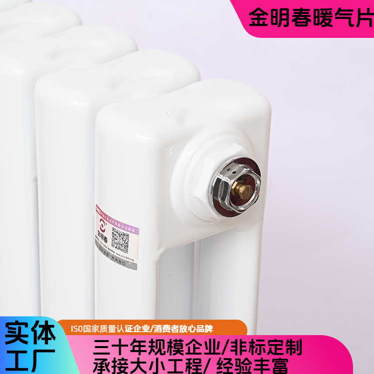金明春 厂家供应 钢二柱散热器GZ2-600 强度高 寿命长 按需定制