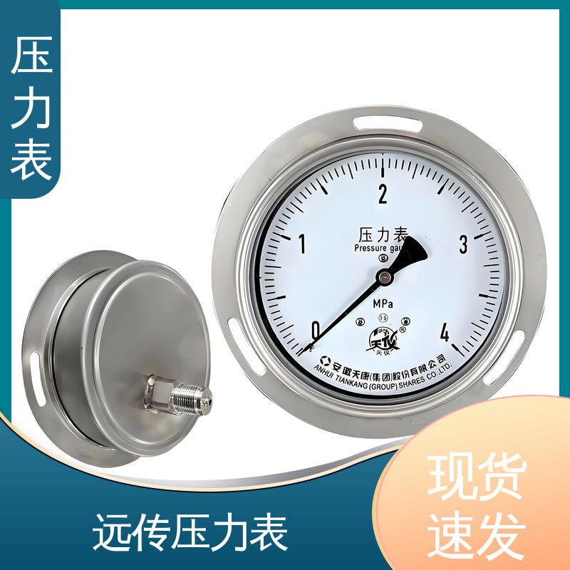 天康 YPF 系列 无线压力表 经济性佳 类型多样 源头厂家 品类齐全