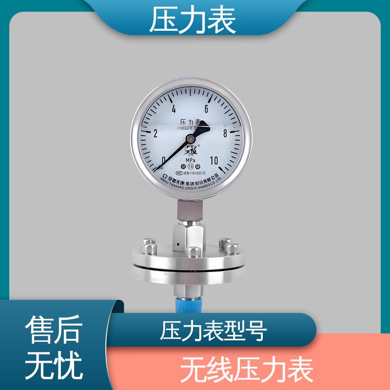 天康 LT系列 精密压力表 直观性强 可靠性高 源头厂家 品类齐全