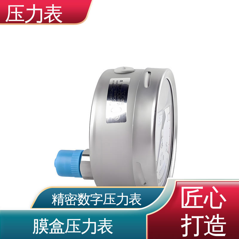 天康 LT系列 抗震压力表 安装便捷 维护简单 源头厂家 品类齐全