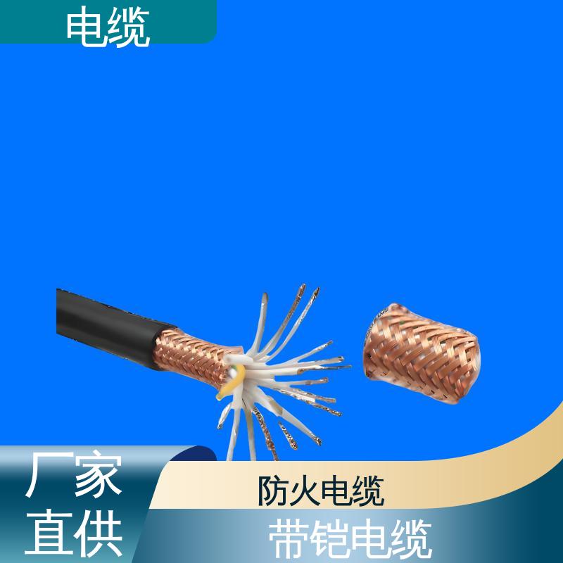 天康 YGC22 带铠电缆 广泛的市场覆盖 规模生产 来图定制