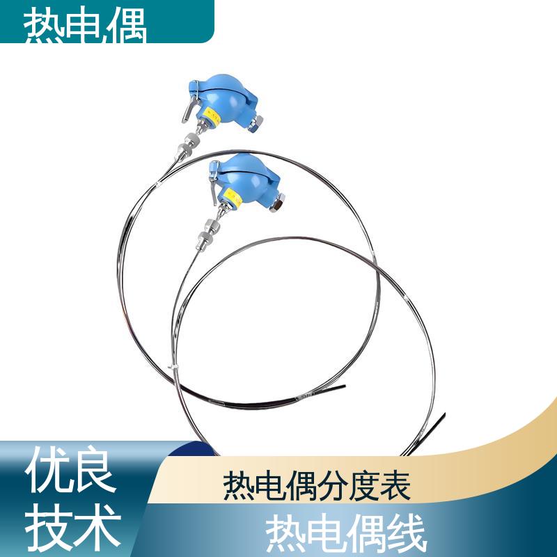 天康 WRNK-391 耐磨热电偶 体积小 重量轻 实力厂家 支持定制