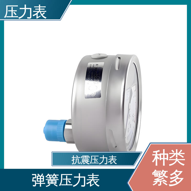 天康 YPF 系列 压力表 精度适中 兼容性好 实力厂家 支持定制