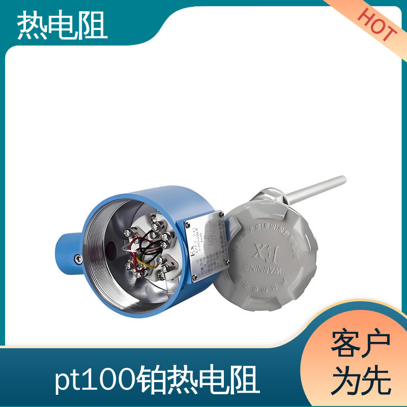 天康 WZC-130 PT200型热电阻 测量精度高 实力厂家 支持定制