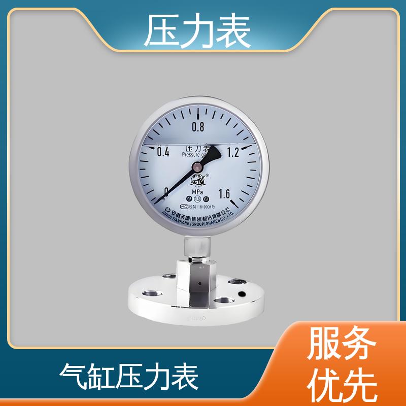 天康 LT系列 数字压力表 直观性强 可靠性高 源头厂家 品类齐全