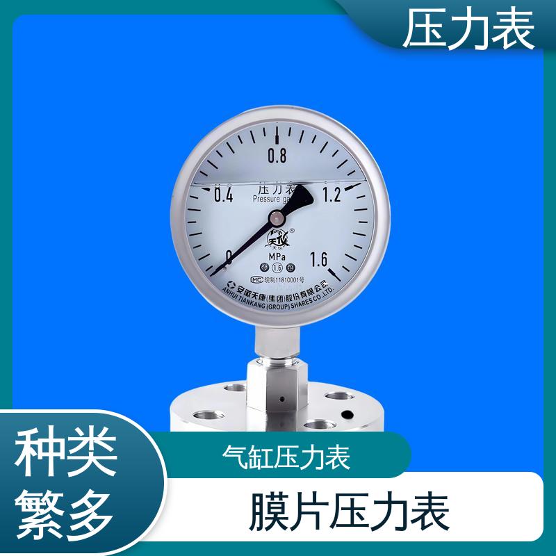 天康 LT系列 气缸压力表 经济性佳 类型多样 实力厂家 支持定制