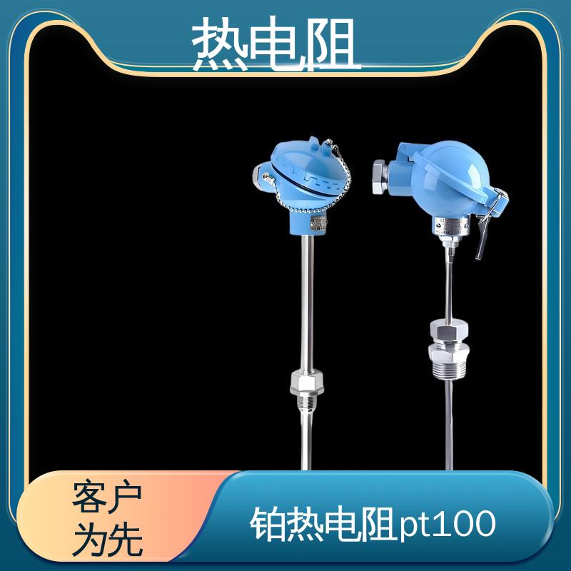 天康 WZP-131 热电阻 响应速度快 实力厂家 支持定制