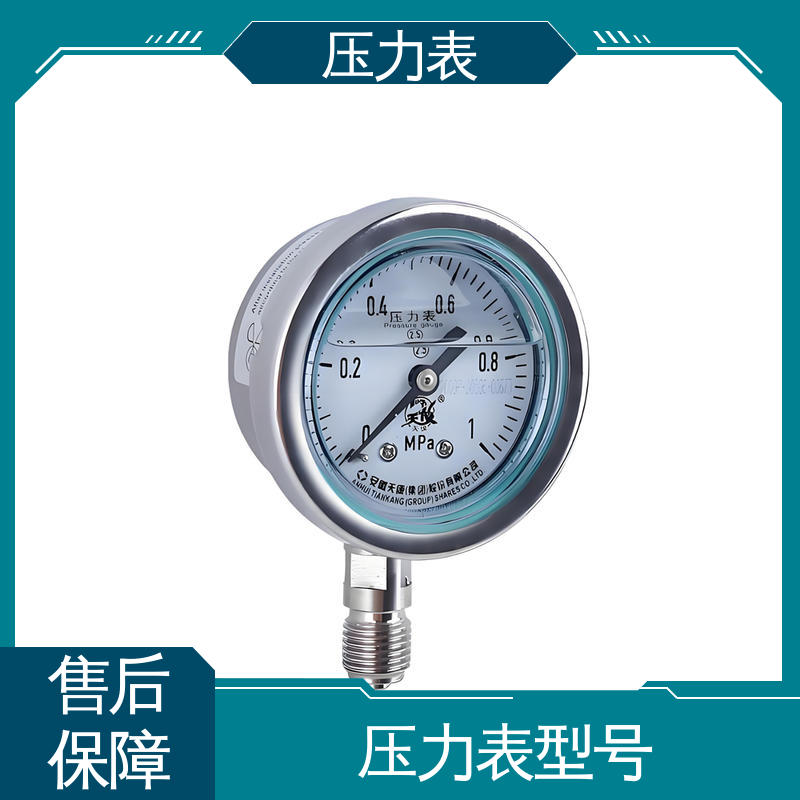 天康 LT系列 电接点压力表 经济性佳 类型多样 实力厂家 支持定制
