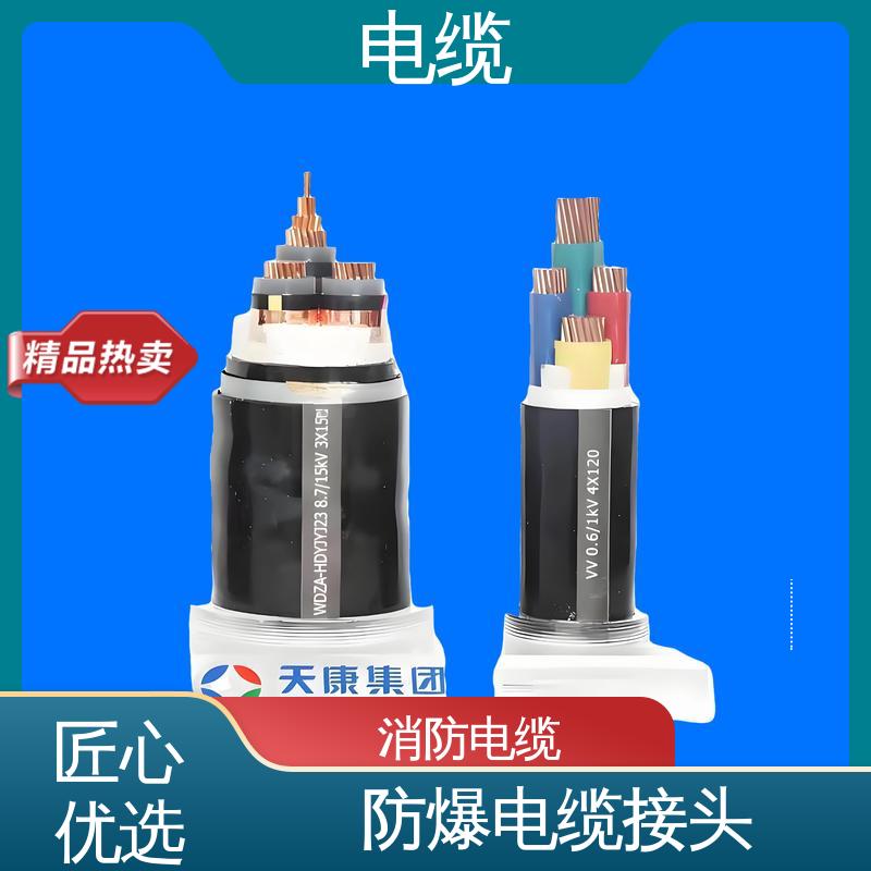 天康 YGCP 带铠电缆 先进技术与工艺 规模生产 来图定制