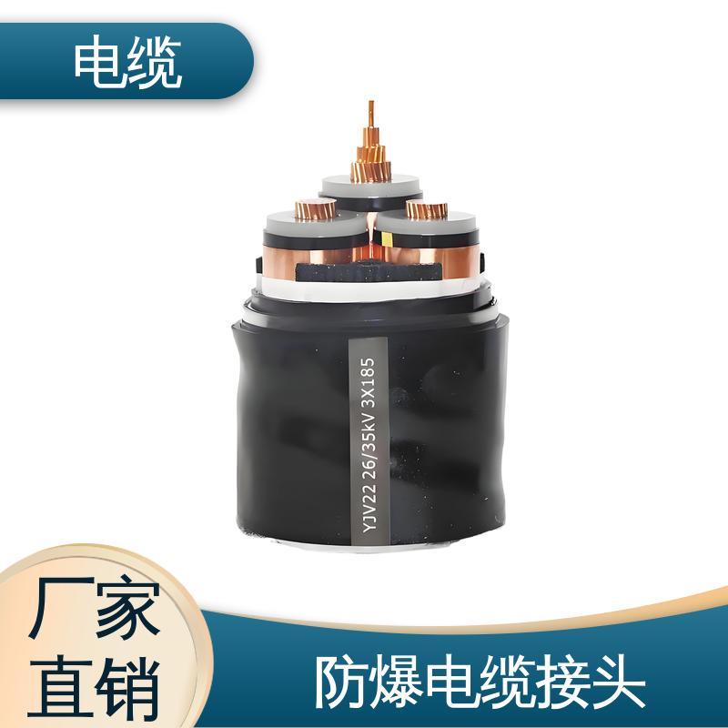天康 YGC22 防爆电缆接头 质量管理严格 实力工厂 支持定制