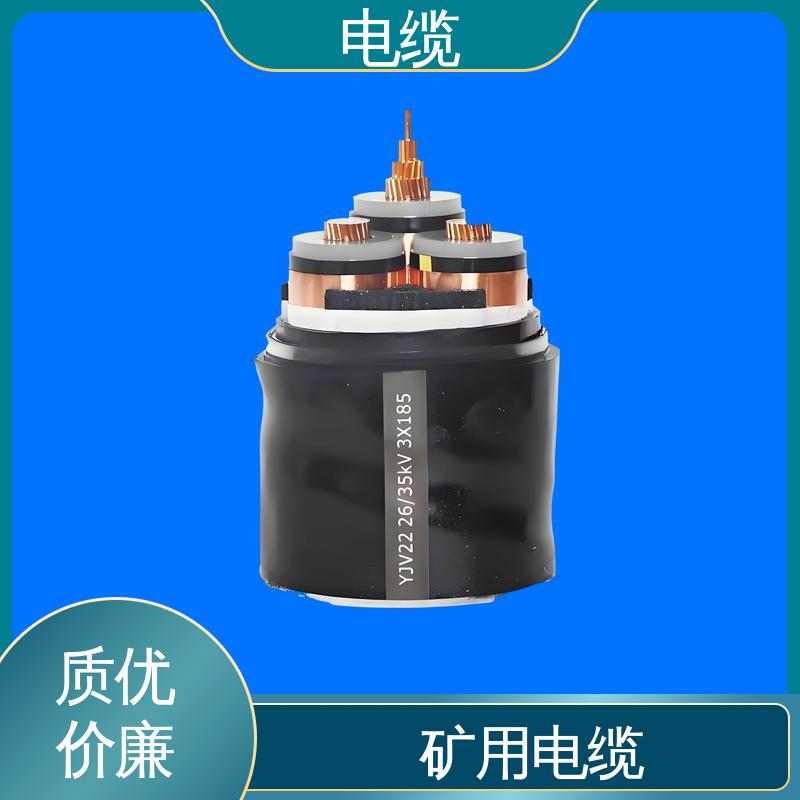 天康 YGC22 矿物质电缆 满足不同领域需求 规模生产 来图定制