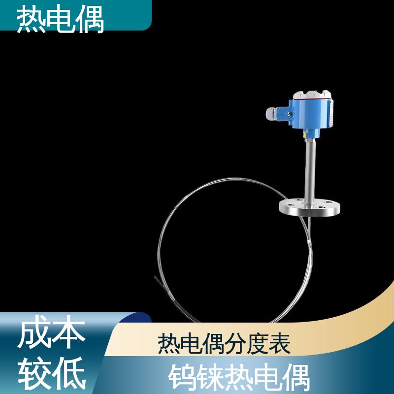 天康 WRNG-430 耐磨阻漏热电偶 测温范围广 实力厂家 支持定制