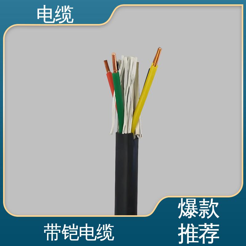 天康 YGCR 铠装电缆 质量管理严格 实力工厂 支持定制