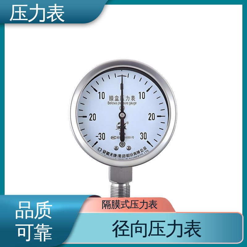 天康 LT系列 蒸汽压力表 经济性佳 类型多样 源头厂家 品类齐全