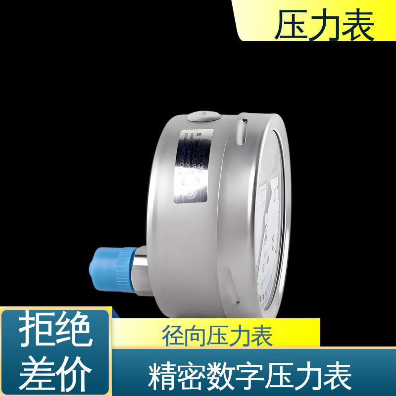 天康 LT系列 隔膜压力表 精度适中 兼容性好 源头厂家 品类齐全