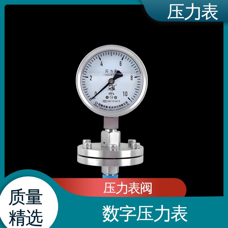 天康 LT系列 膜盒压力表 经济性佳 类型多样 实力厂家 支持定制