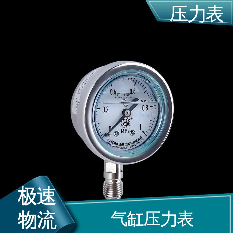 天康 Y-B 系列 径向压力表 精度适中 兼容性好 实力厂家 支持定制