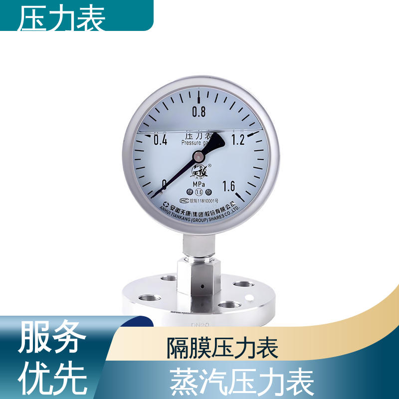 天康 YPF 系列 弹簧压力表 功能扩展性 实力厂家 支持定制
