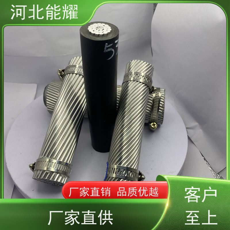  适用于特殊环境 LBGJ-800/55 高导电铝包钢芯铝绞线 生产基地