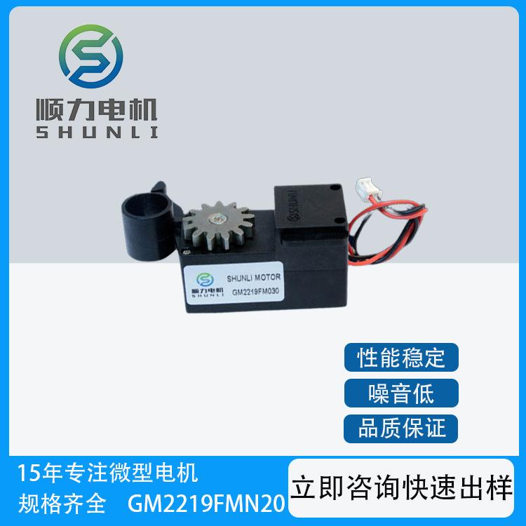 厂家源头智能锁智能家居电机舵机自动门锁微型电机齿轮箱减速马达