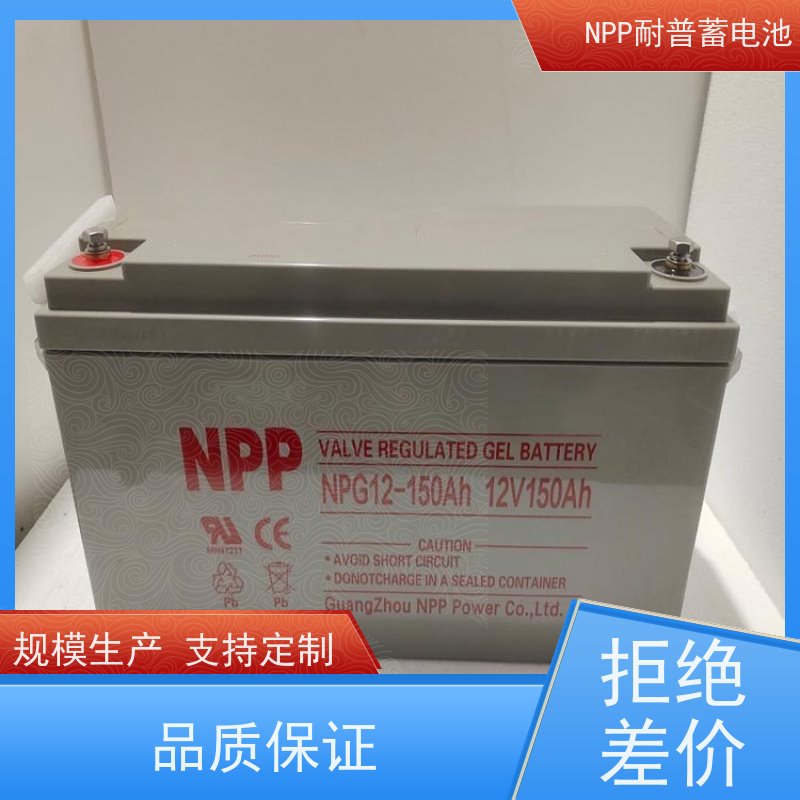 机房UPS电池 NPG12-65 阀控式密封储能型 华南区代理 