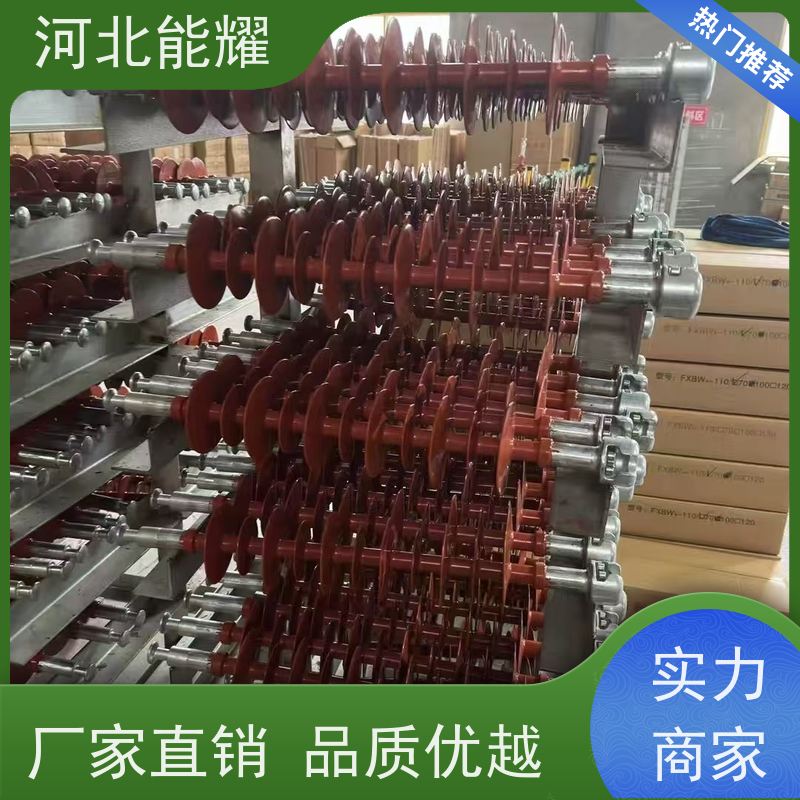  适用于110kV以上电压线路 棒形悬式复合绝缘子 FS-110/10 加工定制