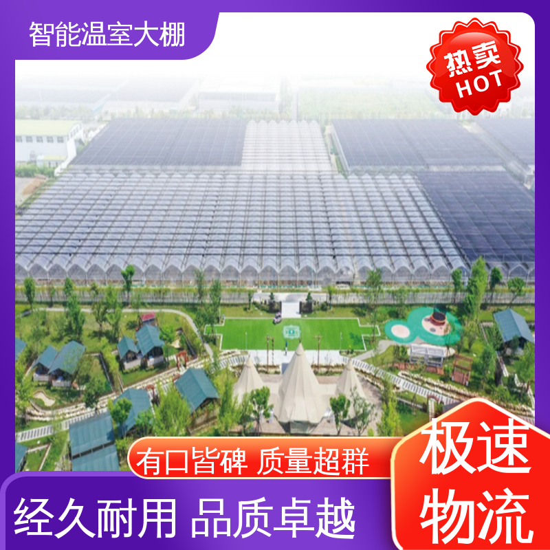 图6