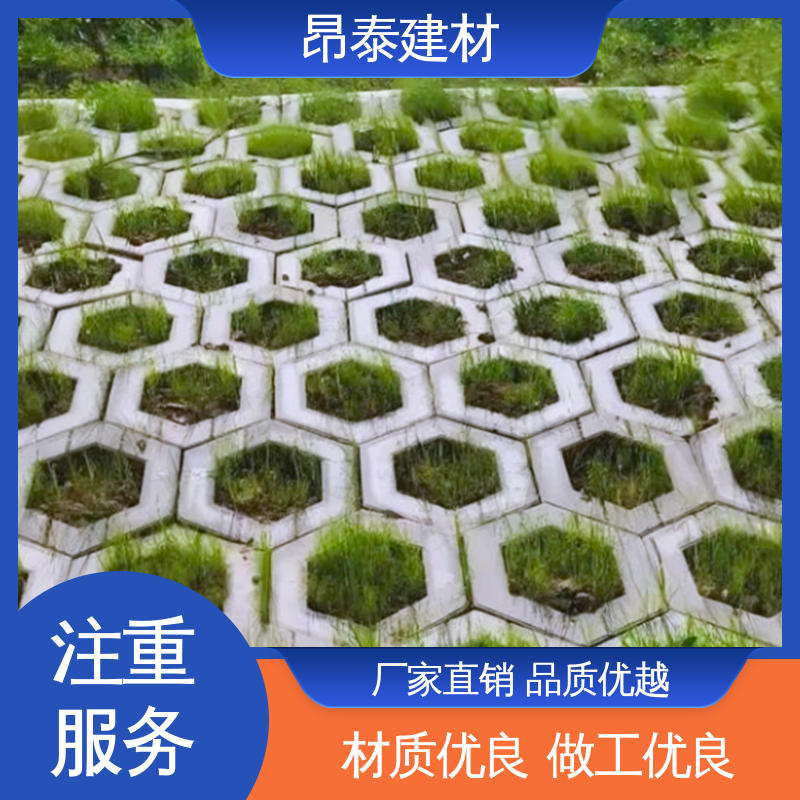 六棱护坡砖 做工精细 适用范围广 仿花岗岩砖 源头工厂