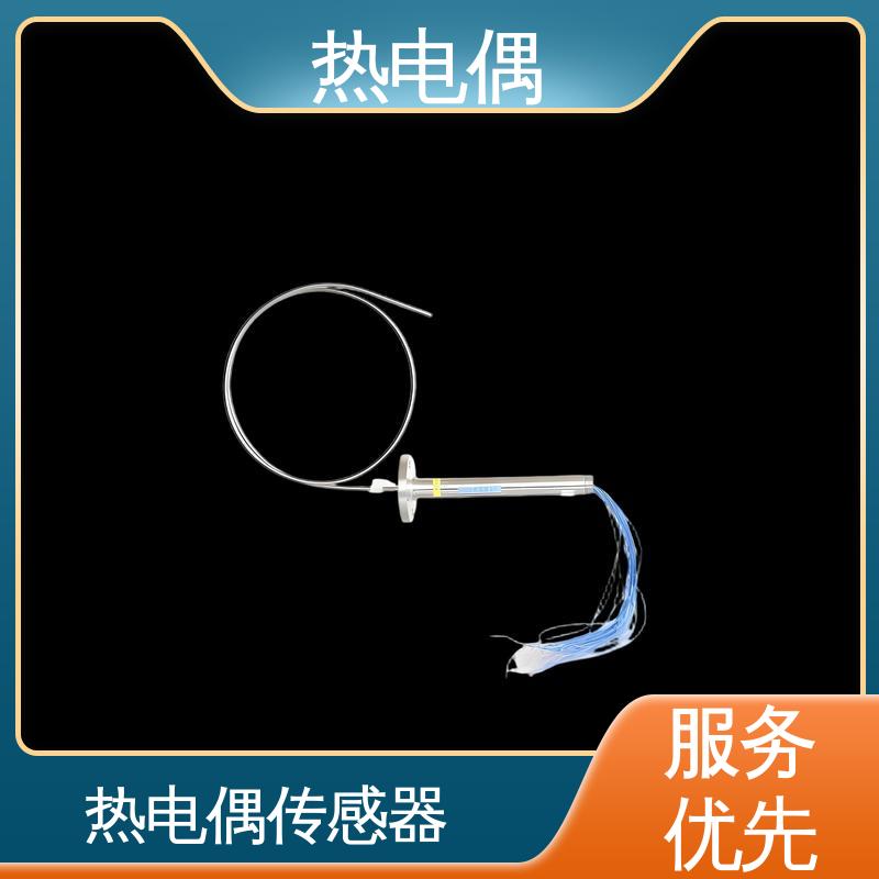 天康 WRNK2-391 高温热电偶 测温范围广 源头厂家 来图定制