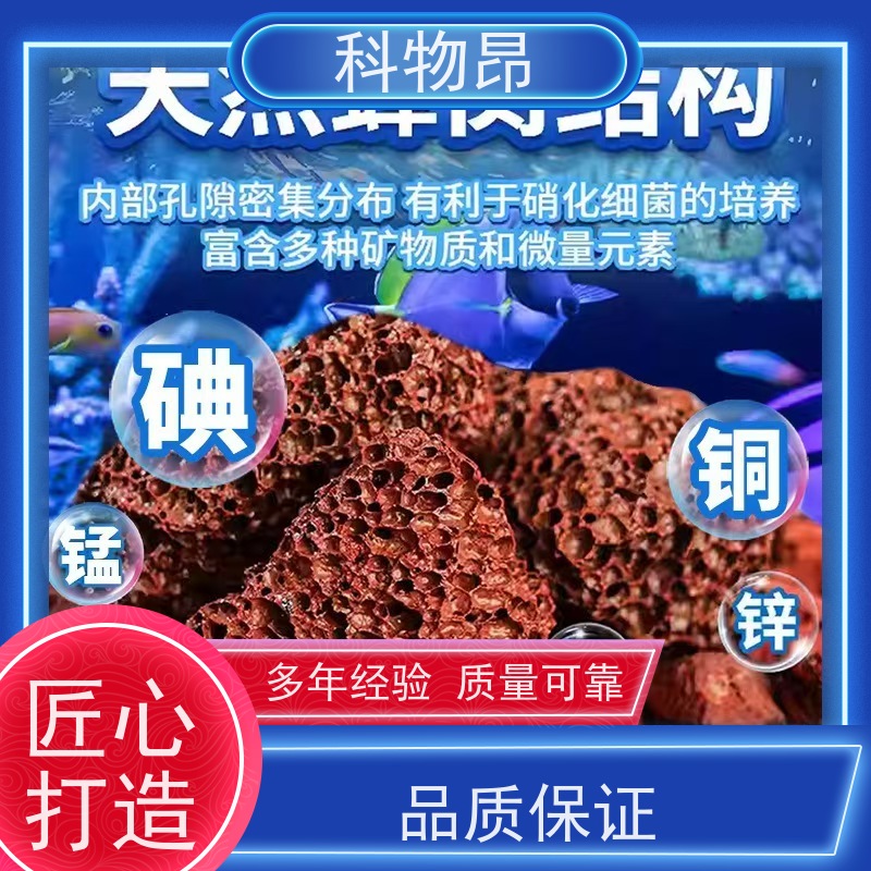 科物昂 养殖 火山岩鱼缸景观造型 形状可定制 随下随发