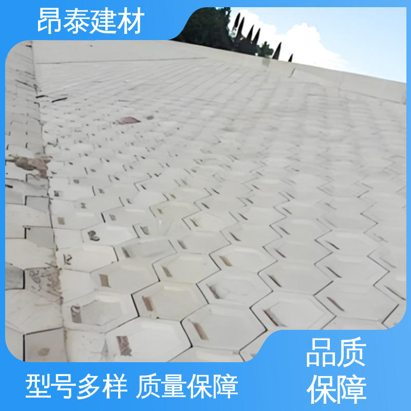 六角护坡砖 尺寸按需生产 抗剪能力强 送货上门 昂泰建材