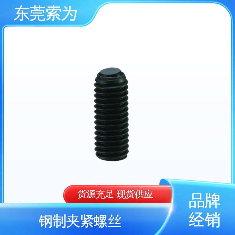 批发供应 SCS-FB 夹紧螺丝 不锈钢制螺栓 用于通用设备制造