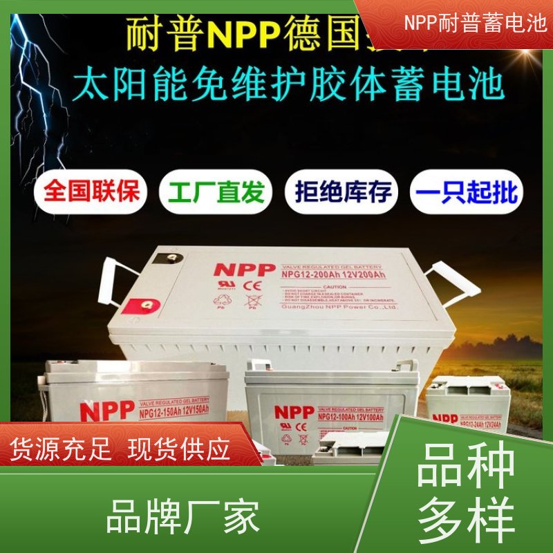 发电机电池 NPG12-65 适用机房储能蓄电 质量保证 