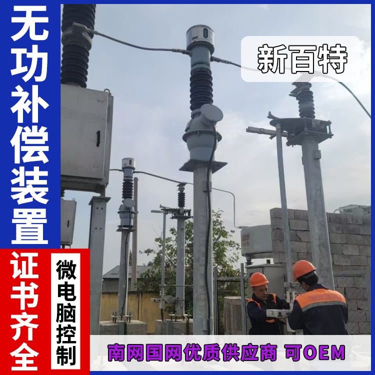 新百特 安装 高压有源无功补偿装置 电网输电用 厂家定制